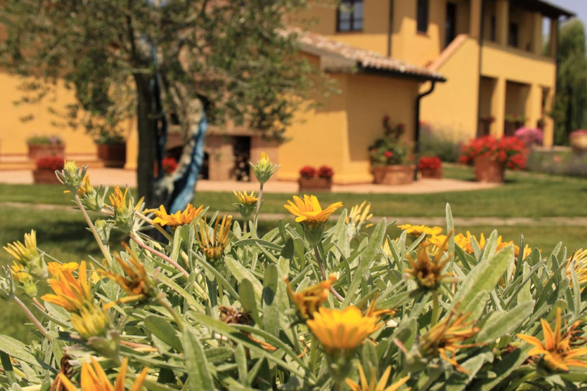 Aparthotel Podere Tre Cipressi Campiglia Marittima Exterior foto